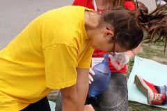 2015-06-27_14-27-05
