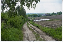 131.