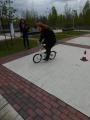tn_mszyca7